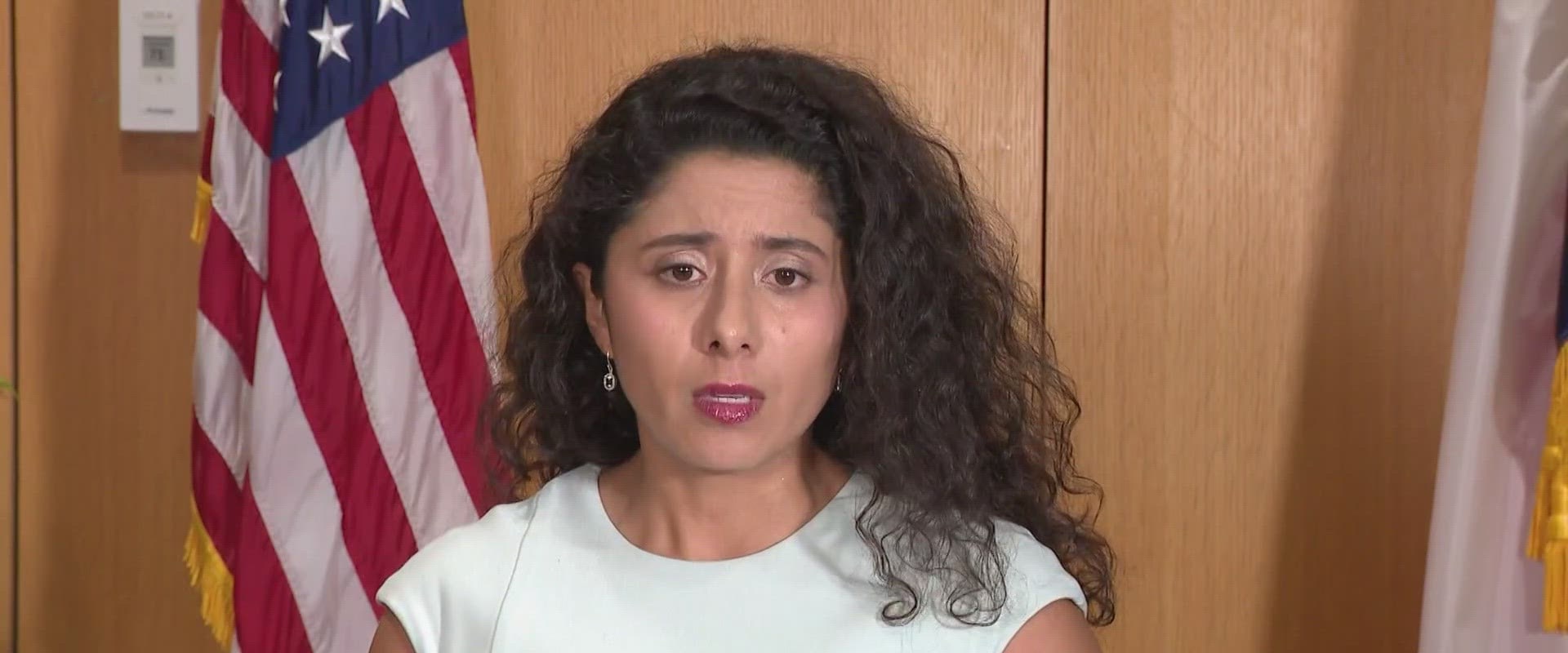 Using Social Media to Reach Voters During Political Campaigns in Harris County, Texas